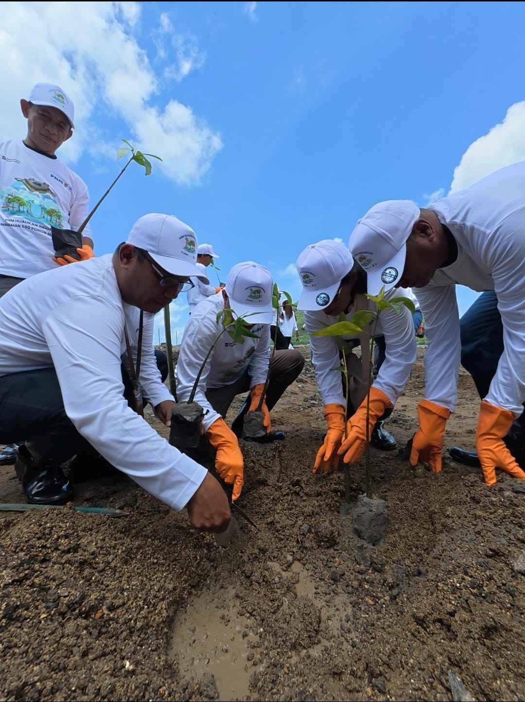 Menumbuhkan Harapan dari Akar Bumi: Komitmen PNM Hijaukan Negeri