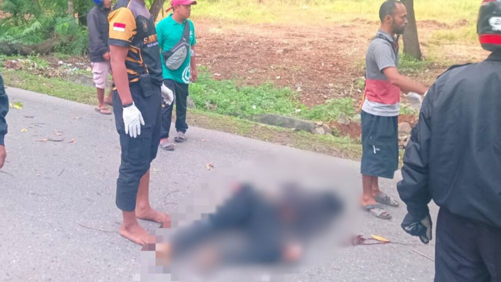 Tragis, Pengendara Motor di Abepura Meninggal Ditempat Usai Tertimpa Pohon