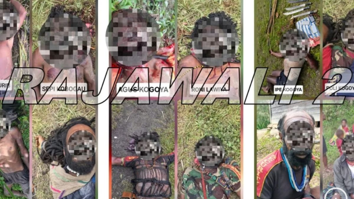 Rekam Jejak Kejahatan OPM Kodap VIII: 12 Aksi Kekerasan Sepanjang 2025 di Intan Jaya