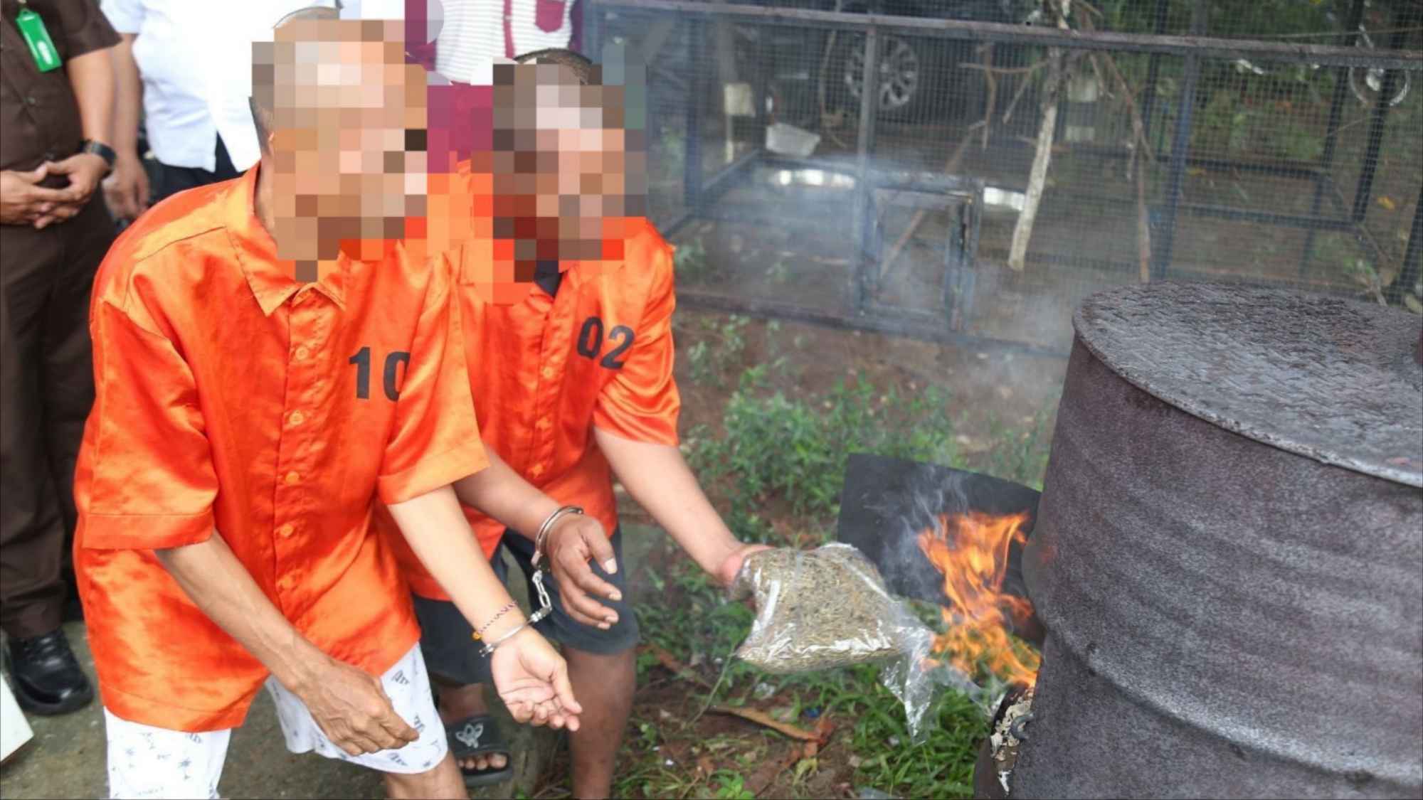 Polda Papua Musnahkan 6,3 Kg Ganja, 10 Tersangka Diamankan