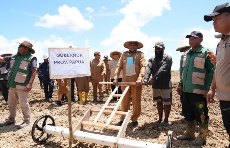 Gubernur Papua Dorong Masyarakat Adat Jadi Pengelola Utama Sawah di Senggi
