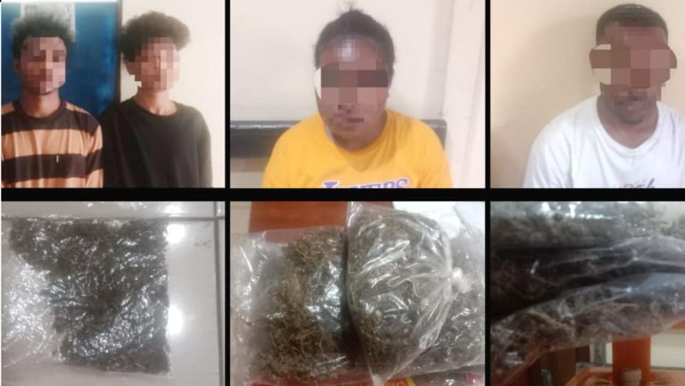 Empat Calon Penumpang Kapal di Jayapura Ditangkap Polisi Bawa Ganja