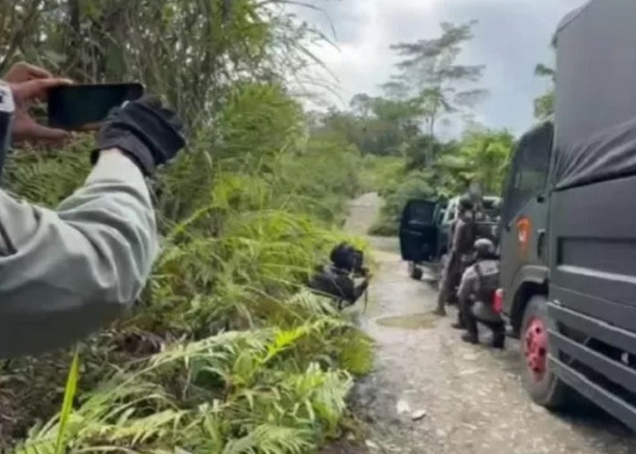 Kontak Tembak Hambat Evakuasi Korban Tewas Serangan KKB di Papua