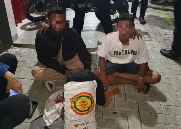 Polres Jayapura Amankan 9 Motor Bodong dan 1 Karung Ganja dalam Operasi Sikat Cartenz-II 2025