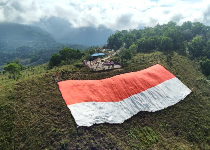Sambut HUT RI ke-81, Bendera Raksasa Dibentangkan di Gunung Cycloop Papua