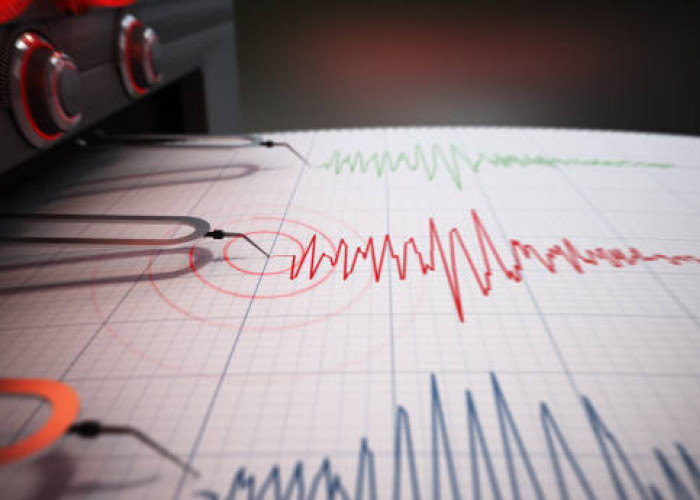 Gempa Magnitudo 5,1 Guncang Wilayah Keerom, Papua