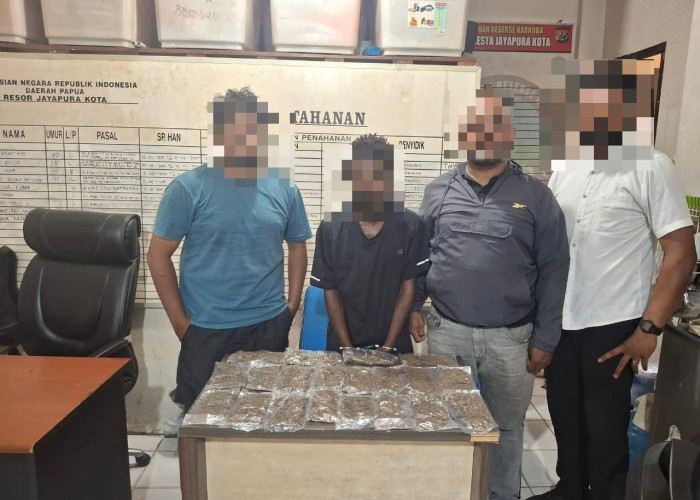 Mahasiswa di Jayapura Ditangkap Bawa 20 Paket Ganja Seberat 400 Gram