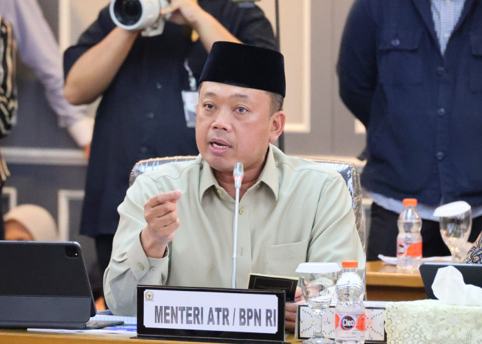 Pemerintah Alihkan 474 Ribu Hektar Hutan Papua Jadi Sawah, Sawit, dan Industri