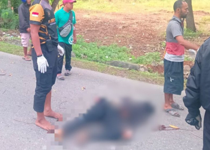 Tragis, Pengendara Motor di Abepura Meninggal Ditempat Usai Tertimpa Pohon