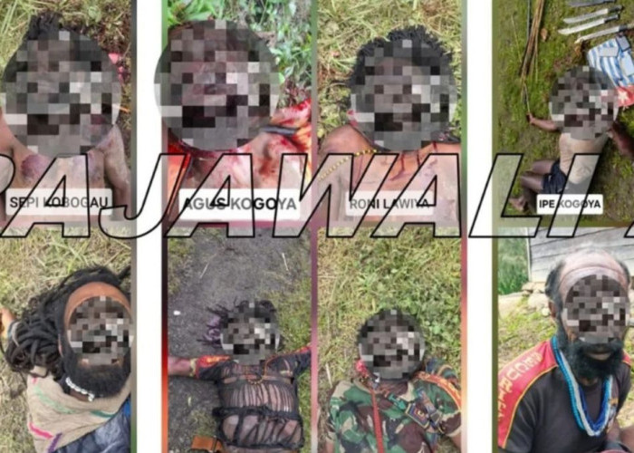 Rekam Jejak Kejahatan OPM Kodap VIII: 12 Aksi Kekerasan Sepanjang 2025 di Intan Jaya