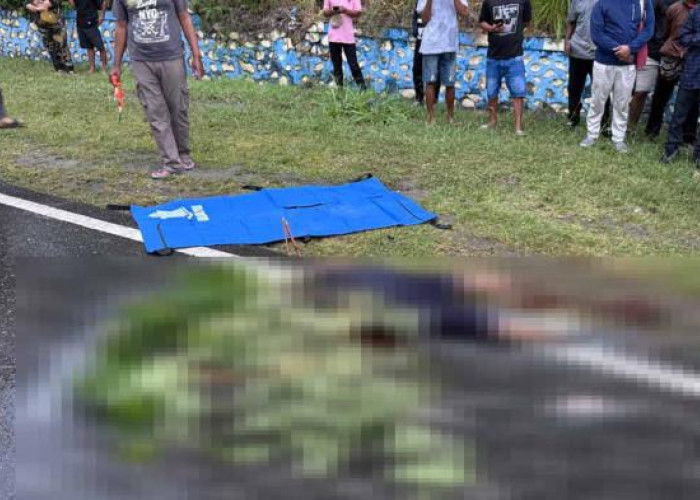 Tragis! Motor Scoopy Tergelincir di Tikungan, Pelajar di Jayapura Tewas Tertabrak Truk