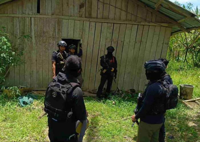 Satgas Cartenz Ringkus Petinggi KKB Yahukimo Philip Kobak Usai Dikejar ke Hutan