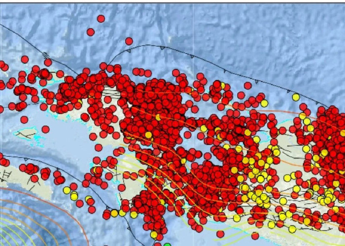 BMKG Catat 5.141 Gempa Guncang Papua Sepanjang 2025, Dua Di Antaranya Merusak