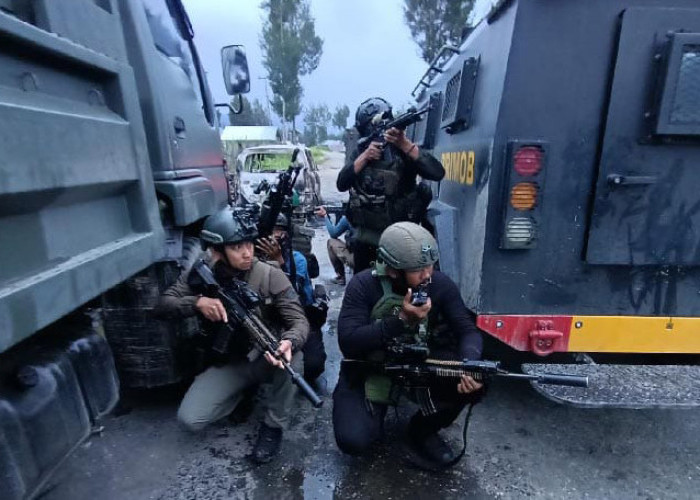 Satgas Habema TNI Lumpuhkan 8 Anggota OPM dalam Operasi Jelang HUT ke-80 RI