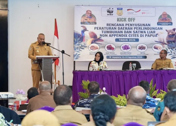 Pemprov Papua Siapkan Raperda untuk Lindungi Tumbuhan dan Satwa Liar Non-CITES