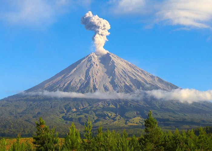 Mengenal Gunung Semeru: Sejarah, Legenda, dan Panduan Aman untuk Calon Pendaki