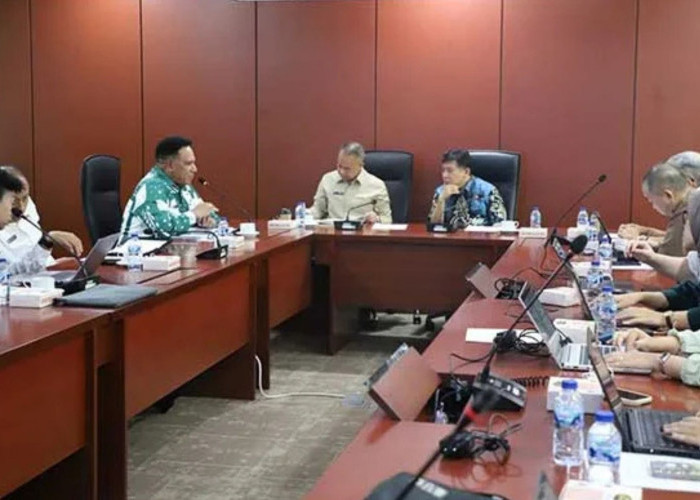 Komite Eksekutif Papua dan Bappenas Bahas RAPPP Otsus dan Musrenbang Papua