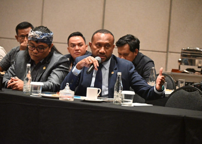 DPR Papua Desak Pemerintah Bongkar Tambang Ilegal, Duga Ada Pembiaran