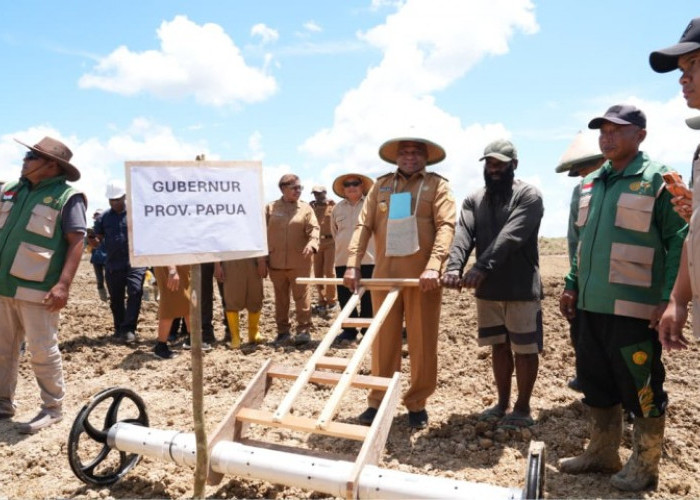 Gubernur Papua Dorong Masyarakat Adat Jadi Pengelola Utama Sawah di Senggi