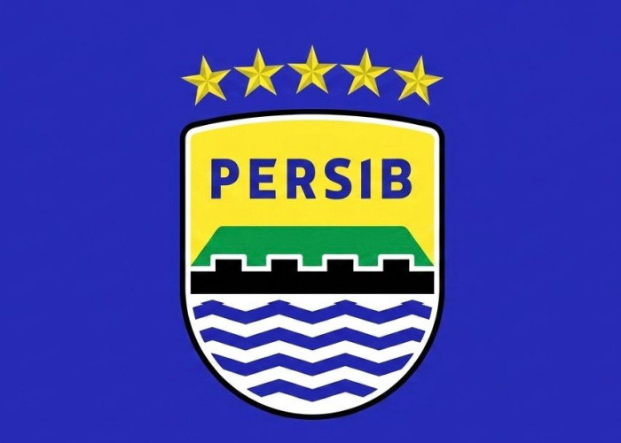 Persib Bandung Buka Suara Soal Sanksi FIFA, Bukan Karena Tunggakan Gaji Pemain