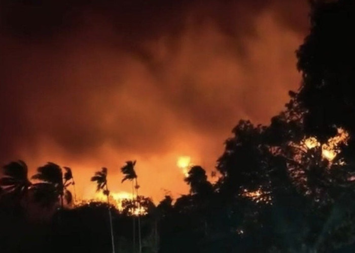 Gubernur Papua Minta Seluruh Kepala Daerah Waspadai Karhutla dan Dampak El Nino