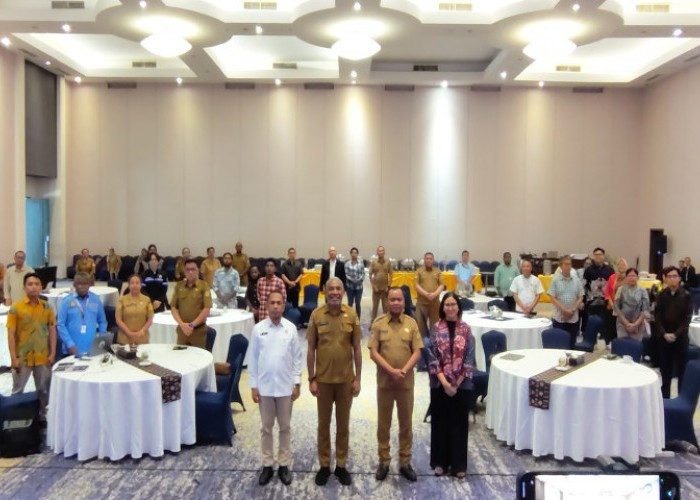 Pemprov Papua Bentuk Forum Energi Daerah untuk Percepat Pemerataan Energi