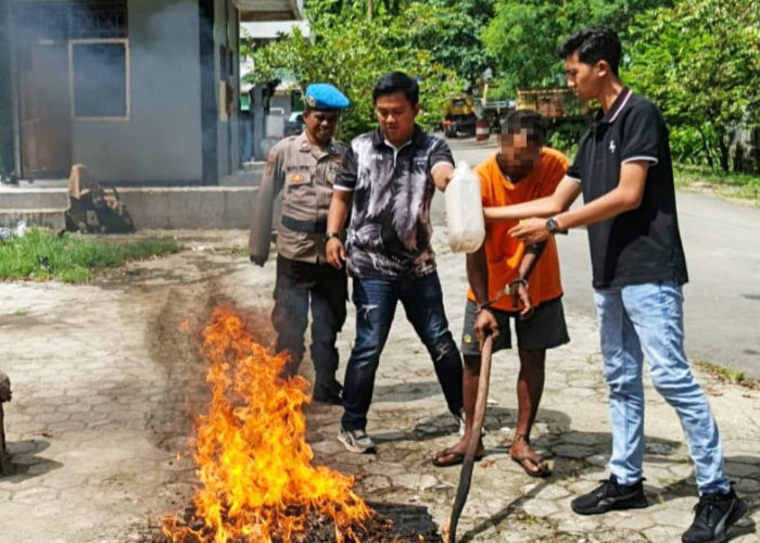 Polresta Jayapura Kota Musnahkan Barang Bukti 2,5 Kg Ganja dari Dua Kasus Berbeda