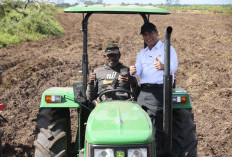 Pemerintah Genjot Cetak Sawah di Papua Selatan, Siapkan Rp1,3 Triliun untuk Lumbung Pangan