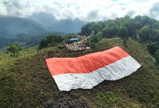 Sambut HUT RI ke-81, Bendera Raksasa Dibentangkan di Gunung Cycloop Papua