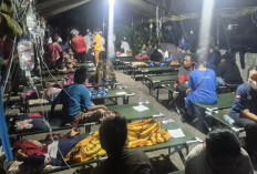 Korban Keracunan MBG di Papua Bertambah Jadi 527 Orang