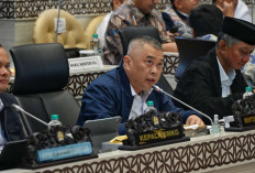 Kemenhub Tutup Sementara 11 Bandara Perintis di Papua Usai Insiden Penembakan Pilot