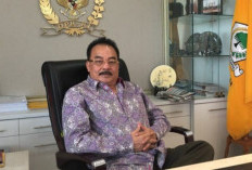 DPR Dorong Sekolah Rakyat Diperluas ke Seluruh Provinsi Papua