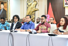 DPD RI Desak Pemerintah Susun Road Map Penyelesaian Konflik Papua