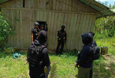 Satgas Cartenz Ringkus Petinggi KKB Yahukimo Philip Kobak Usai Dikejar ke Hutan