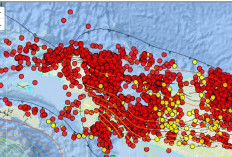 BMKG Catat 5.141 Gempa Guncang Papua Sepanjang 2025, Dua Di Antaranya Merusak