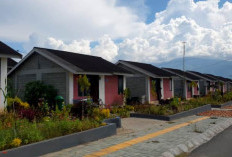 Pemprov Papua Siapkan 14 Ribu Rumah Rakyat, Pembangunan Dimulai 2026