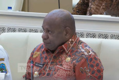 Gubernur Papua Paparkan Enam Isu Strategis Perbatasan RI–PNG dan Palau