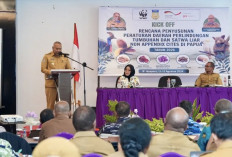 Pemprov Papua Siapkan Raperda untuk Lindungi Tumbuhan dan Satwa Liar Non-CITES