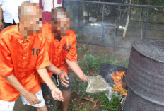 Polda Papua Musnahkan 6,3 Kg Ganja, 10 Tersangka Diamankan