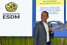 Bahlil Bertemu Gubernur Papua, Divestasi 10 Persen Saham Freeport Ditargetkan Rampung Kuartal I 2026