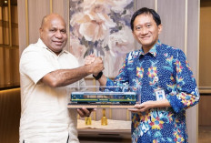 Proyek Kereta Api Papua Mulai Dibahas, KAI Siap Survei Jalur