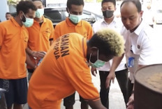 BNNP Papua Ungkap 101 Kasus Narkotika, Sita 60 Kg Ganja dan 1 Kg Sabu