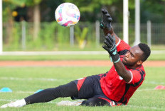 Persela Lamongan Dikaitkan dengan Eks Persipura Jayapura Jelang Bursa Transfer