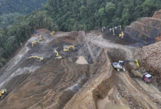 Pembangunan Jalan Trans Papua Mamberamo–Elelim Capai 51,59 Persen, Ditarget Rampung November 2026