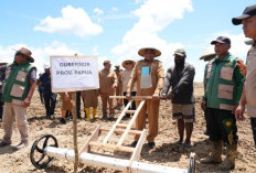 Gubernur Papua Dorong Masyarakat Adat Jadi Pengelola Utama Sawah di Senggi
