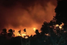 Gubernur Papua Minta Seluruh Kepala Daerah Waspadai Karhutla dan Dampak El Nino