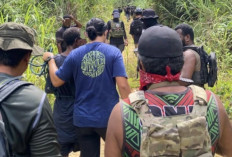Pimpinan Kodap I Mamta Ditangkap, Satgas Temukan Senpi Rakitan dan Puluhan Amunisi